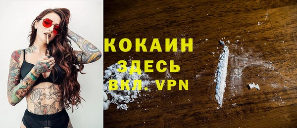 ГАЛЛЮЦИНОГЕННЫЕ ГРИБЫ Арсеньев