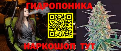 гидропоника Вязьма
