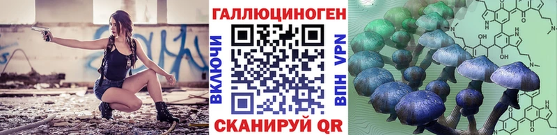 Псилоцибиновые грибы Psilocybine cubensis  Губкин 