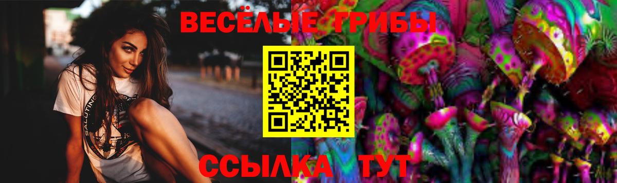 Псилоцибиновые грибы Psilocybe Губкин